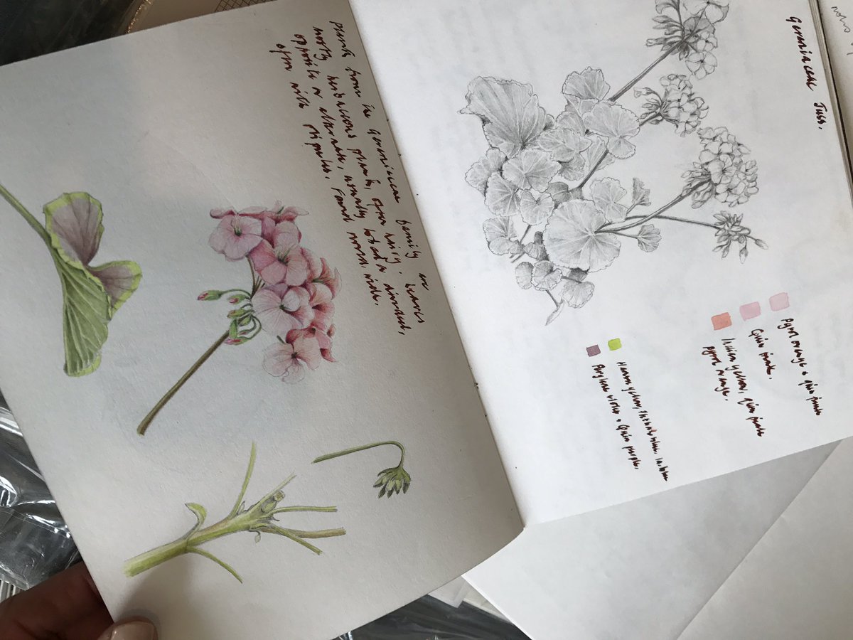 paintwithCSBA's tweet photo. First day of last term for 2017 diploma students ... very buzzy vibe over summer sketchbooks, pickled and pressed specimens https://t.co/cJ7d5GW6NF