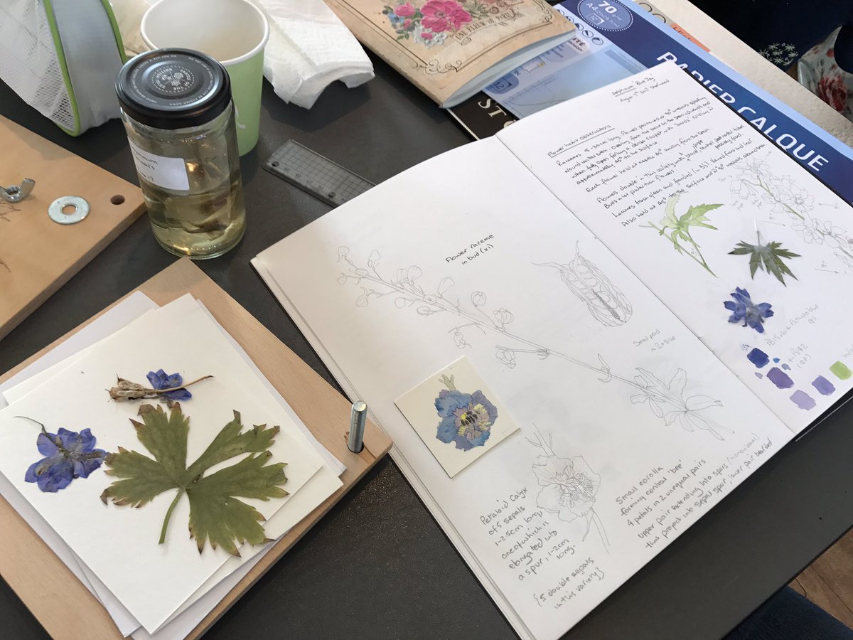 paintwithCSBA's tweet photo. First day of last term for 2017 diploma students ... very buzzy vibe over summer sketchbooks, pickled and pressed specimens https://t.co/cJ7d5GW6NF