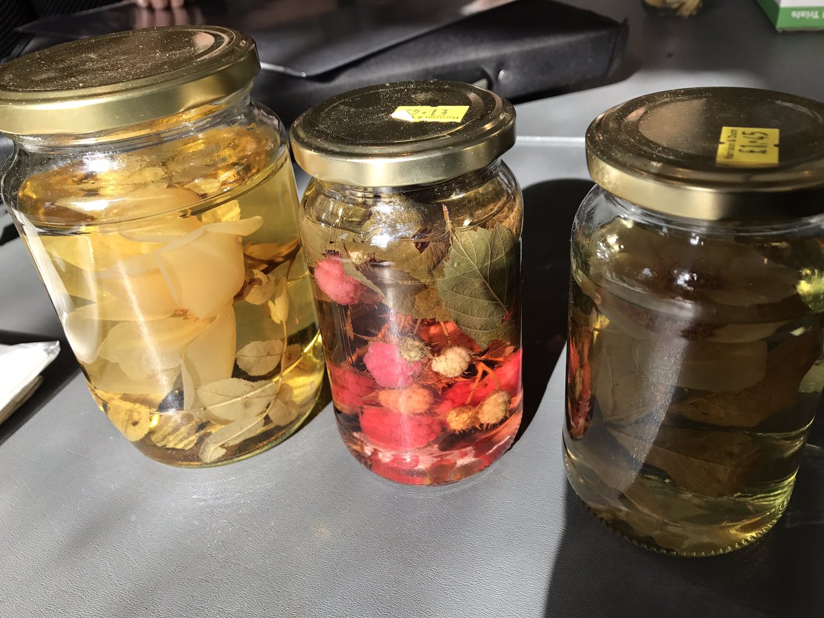 paintwithCSBA's tweet photo. First day of last term for 2017 diploma students ... very buzzy vibe over summer sketchbooks, pickled and pressed specimens https://t.co/cJ7d5GW6NF