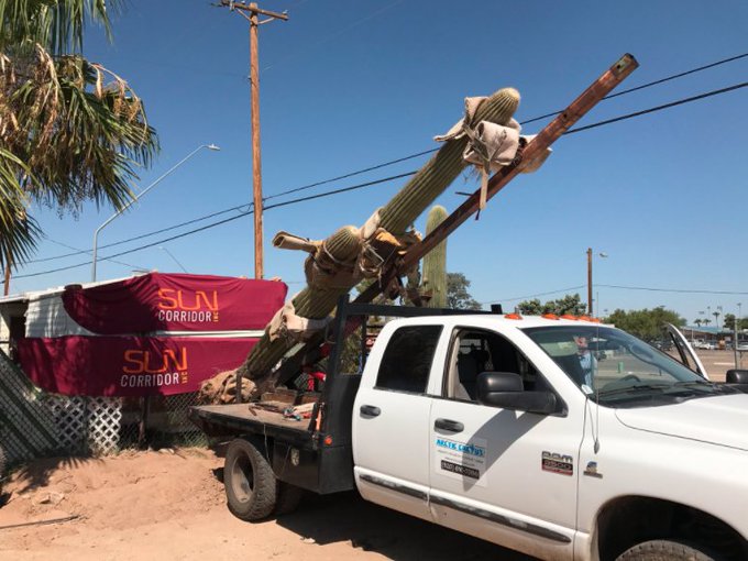 Ver imagen en Twitter Ver imagen en Twitter