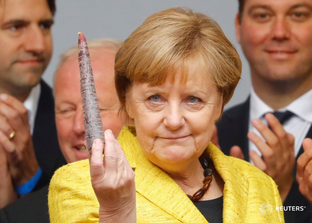 Angela Merkel holds a vegetable during a rally in Freiburg, as Germany counts down to the election: reut.rs/2hcnrsk 📷<a href="/KPfaffenbach/">Kai Pfaffenbach</a>