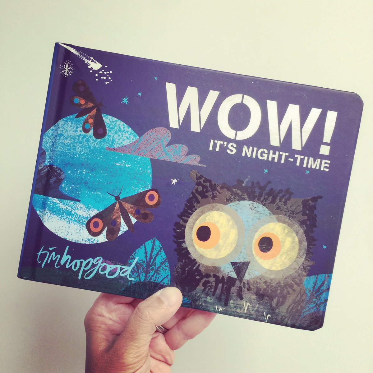 A perfect bedtime read 🦉 This sturdy board book follows the nightlife activity of various wildlife in @TimHopgood's bold illustrative style