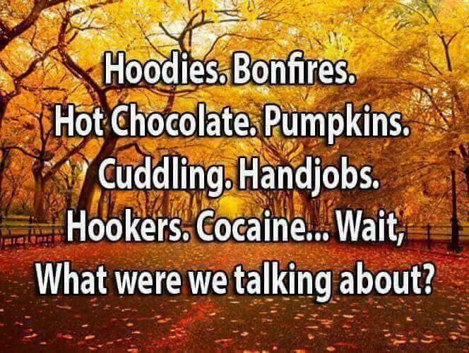 rowseeyo's tweet photo. 🍂🎃 fall weather > https://t.co/MGoz394hxt