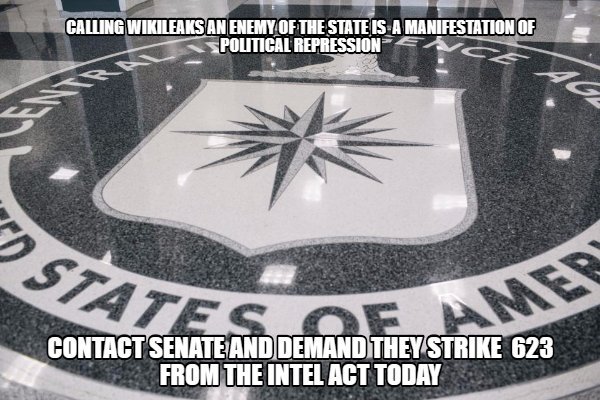 AngelFox1971's tweet photo. @JulianAssange Congress targeting wikileaks and its supporters to destroy the truth. Sect 623 is a violation of 1st amendment! Fight! #Savewikileaks https://t.co/vuiek5VlQU