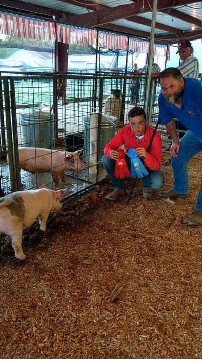 CHSEagles_News's tweet image. Daniel Johnson - 1st and 2nd in Market Hogs in the Ashley County Fair!