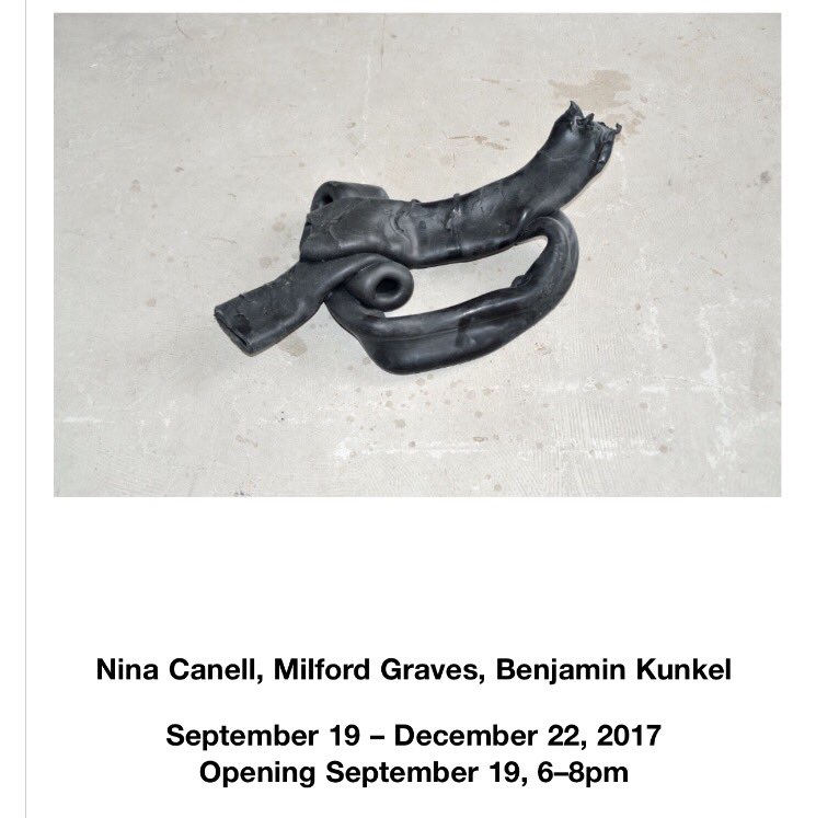 TAInstitute's tweet photo. Opening tonight: Nina Canell, Milford Graves, Benjamin Kunkel, 6-8pm, 132 E. 65th Street. @kunktation https://t.co/TOQvW70cUY