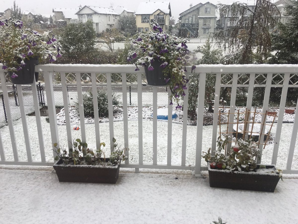 SHARCDoors's tweet photo. @joshclassenCTV  From my wife in Ellerslie!!  #yeg #yegwx https://t.co/aKCcvFIE13