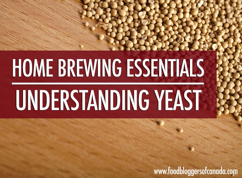 foodbloggersCA's tweet photo. Without yeast, we would have no beer 😓 @thehesitantchef is covering crucial home brewing ingredient for us today! https://t.co/8k4rUKx7AH https://t.co/cVkjWoib2E