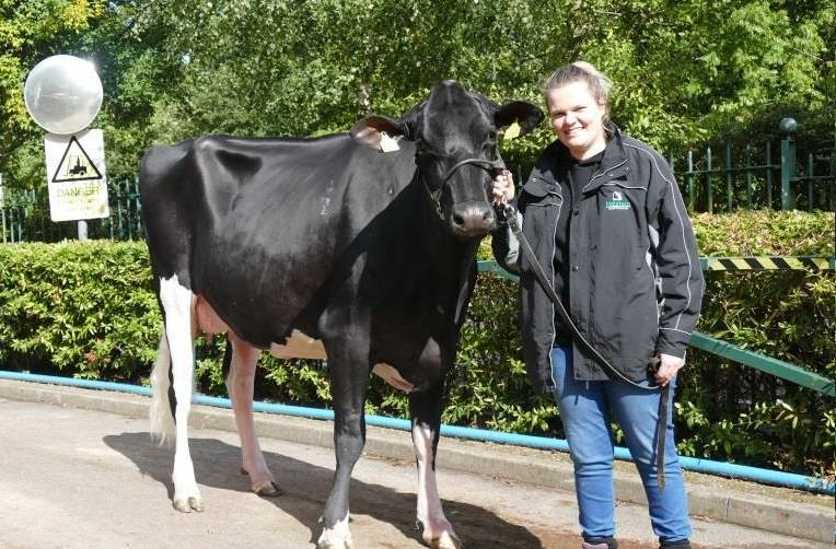 Young Aussie breeder brings Australia 🇦🇺 to Britain 🇬🇧 for dairy exploration.. #teamdairy #britishdairy  farminguk.com/News/Young-bre…
