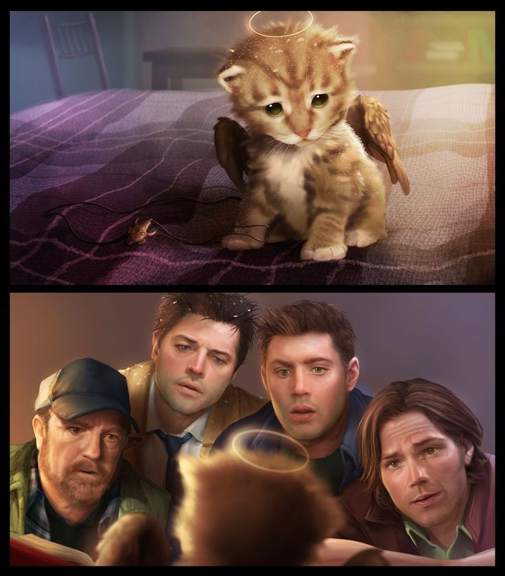 Hellyeah_pie's tweet photo. So cute 😍😍😍
#supernatural  #jensenackles #jaredpadalecki #mishacollins #deanwinchester #samwinchester #castiel #spnfamily #crowley https://t.co/j0KkFgtF2F
