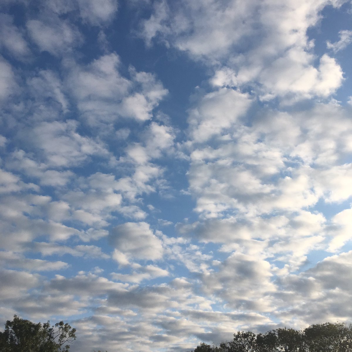 Emma Cook tweet media