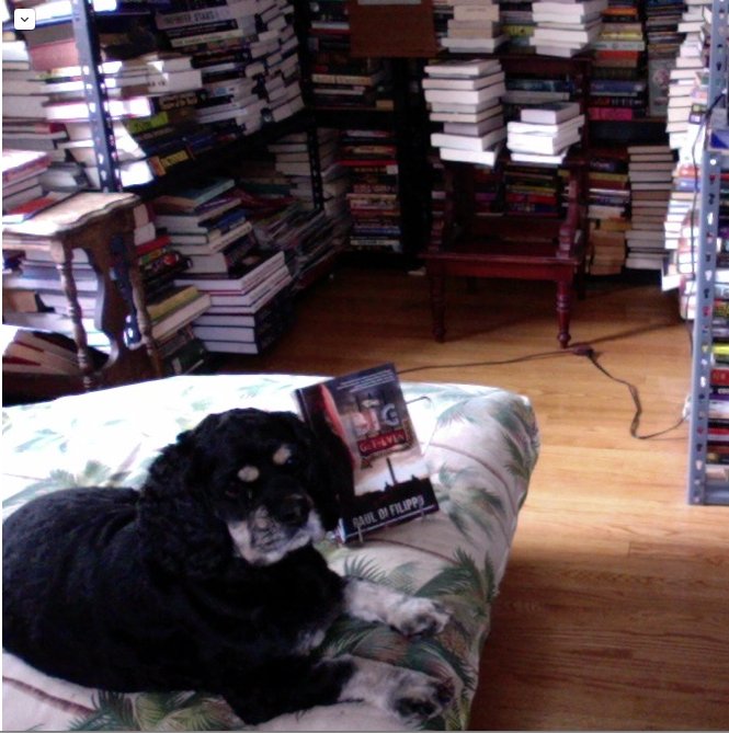 And with the arrival of the ARC for THE BIG GET-EVEN from <a href="/BlackstoneAudio/">Blackstone Publishing</a> , my novel feels more real than ever!  Moxie agrees!