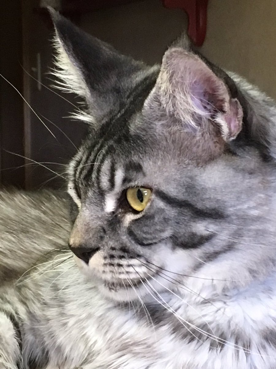 Getting bigger every day!