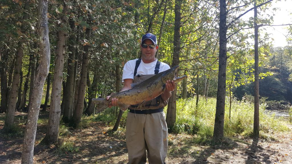 engels1976's tweet photo. #fishon  #lovebetsieriver https://t.co/Yd7c5FvZEM