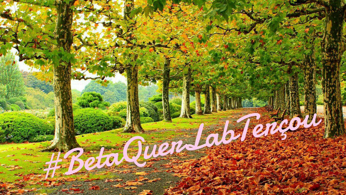 #BetaQuerLabTerçou, mais um dia que se vai, a rodada já está no Fim, mas a vontade de pontuar continua firme e forte, #BetaQuerLab sempre...