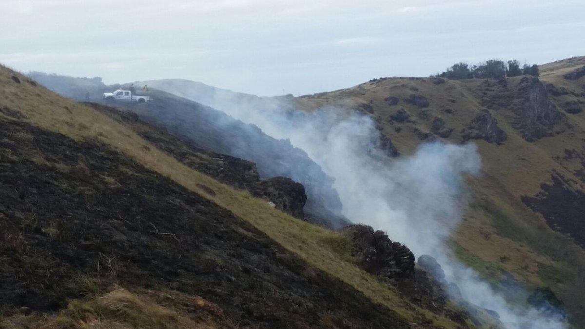conaf_minagri's tweet photo. Controlados todos los focos de incendios forestales en Isla de Pascua. https://t.co/uQRo1LLrEs https://t.co/rlvtejR2Qm