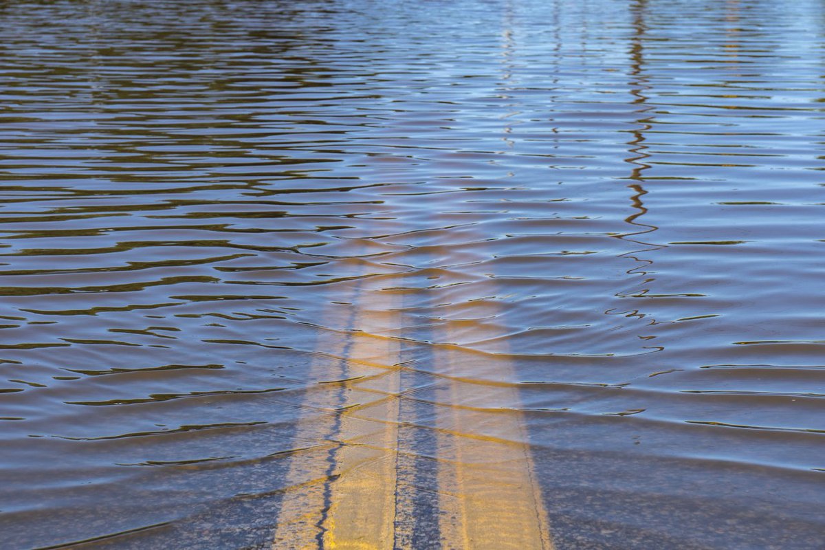 CARFAXca's tweet photo. Recent events have 👆 the importance of checking for flood damage before buying a used car. Here's how: https://t.co/rrk0Ipvmrz  #caradvice https://t.co/zJl7I8ZJjK