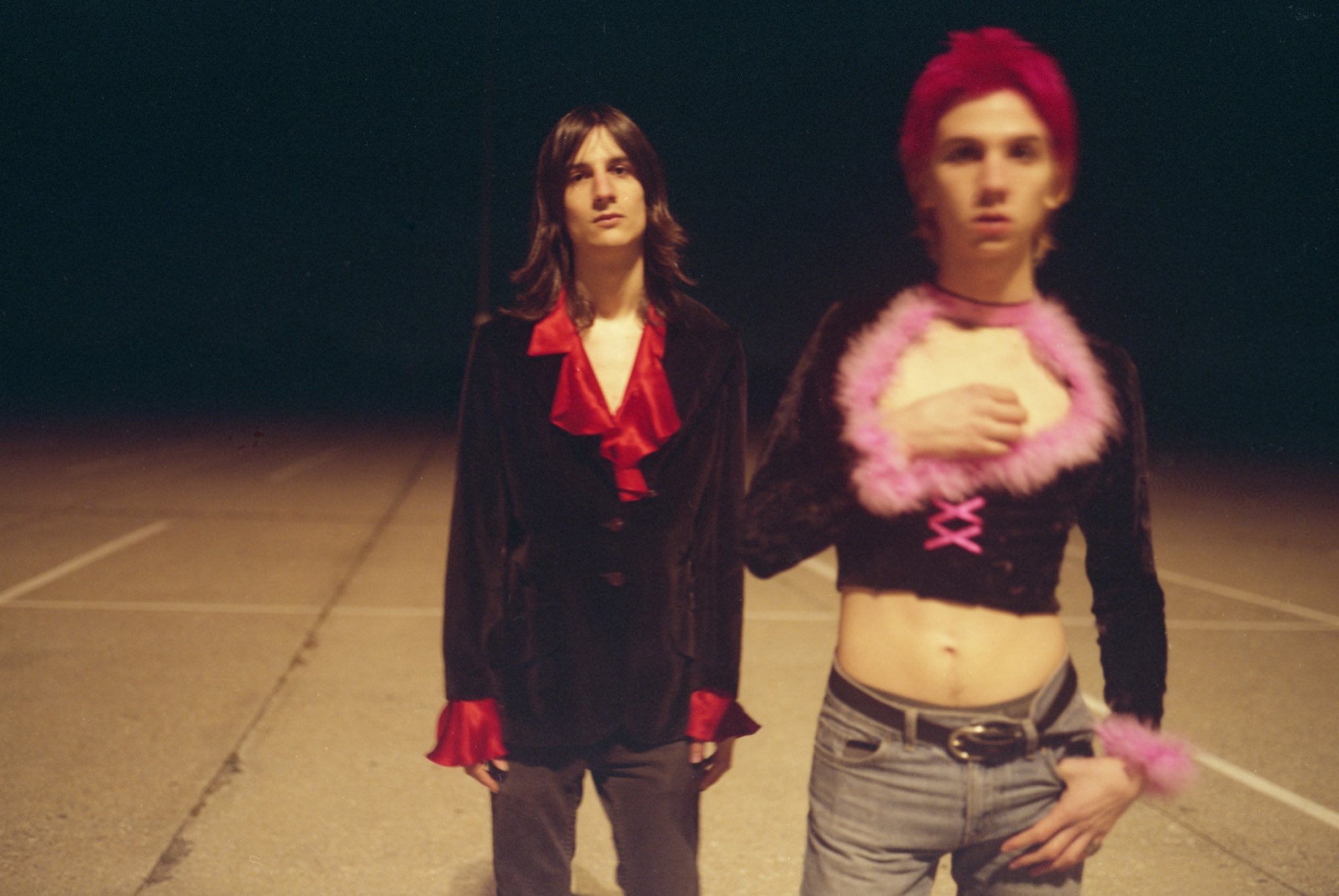 The Lemon Twigs /Brothers Of Destruction 【公式通販】