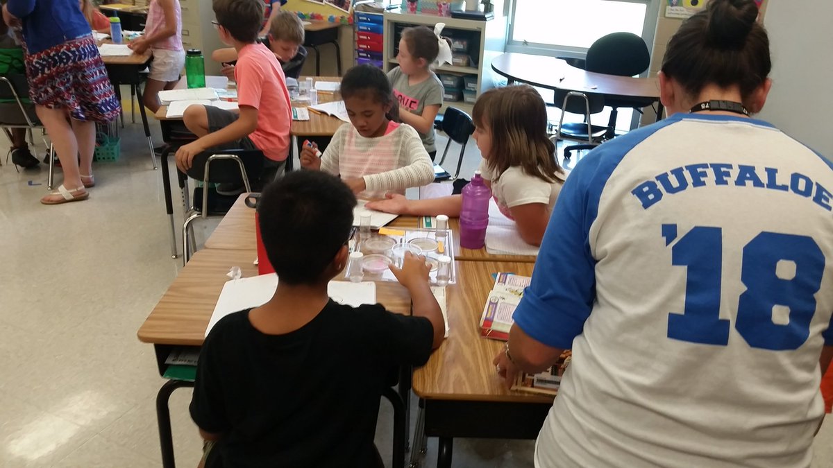 DanSell60's tweet photo. @USD475_STEM Awesome 4th grade class today #frebuffaloes learning about rocks and weathering. @BeckyCoy2 https://t.co/AiwyzjUf7G