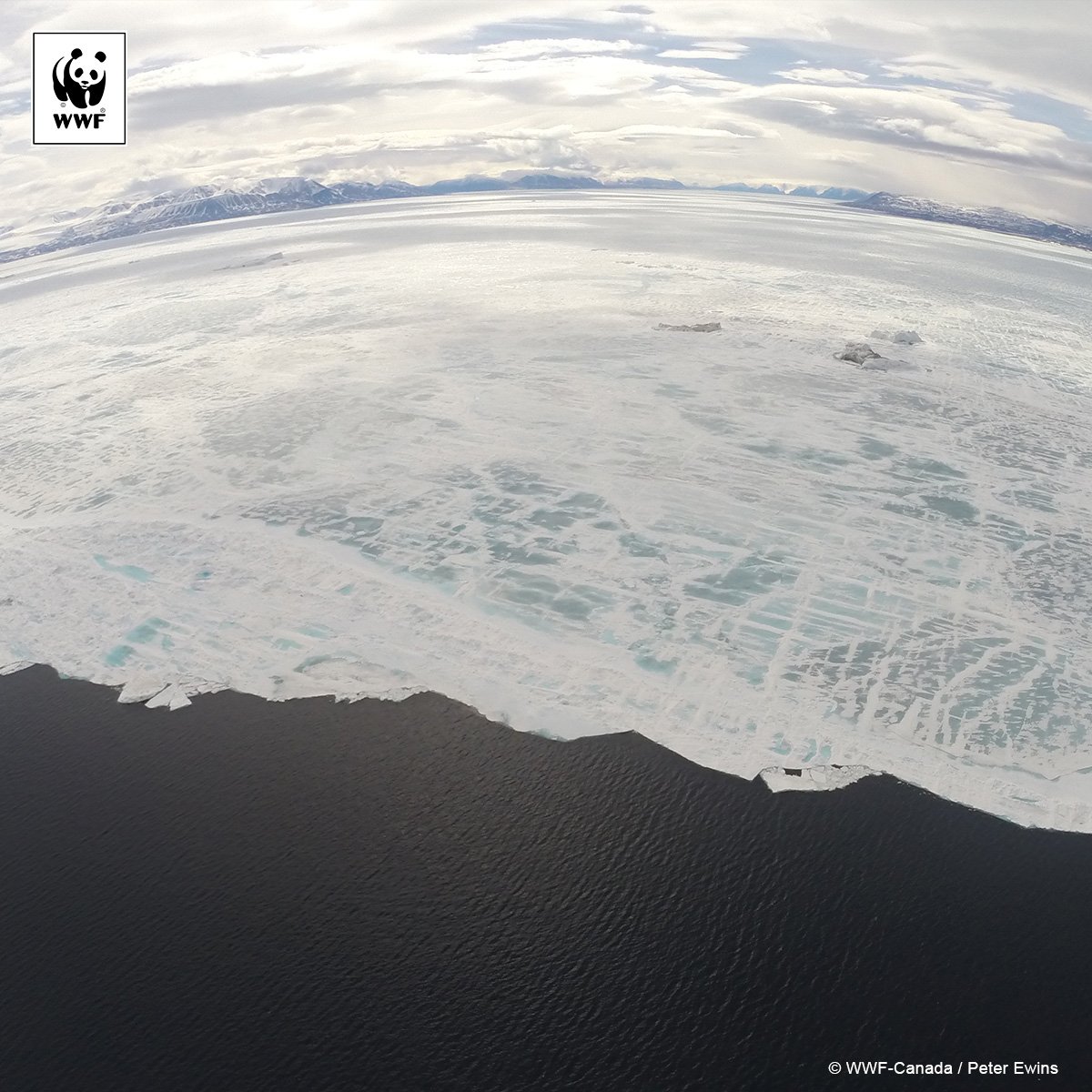 WWF_Arctic's tweet image. Missing Arctic ice is a reminder of climate urgency: ow.ly/jNoY30fhhAV  #ArcticMelt
