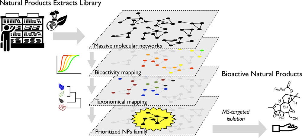 Bioactive Natural Products Prioritization Using Massive Multi-informational Molecular Networks pubs.acs.org/doi/10.1021/ac…