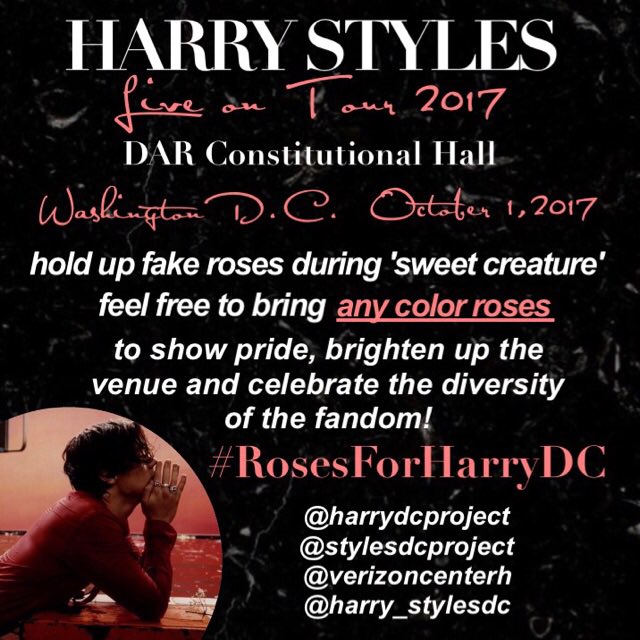stylesdcproject's tweet image. It's opening night of Harry's first solo tour! That means there's ONLY 12 DAYS LEFT until DC! Have you bought roses yet? #RosesForHarryDC