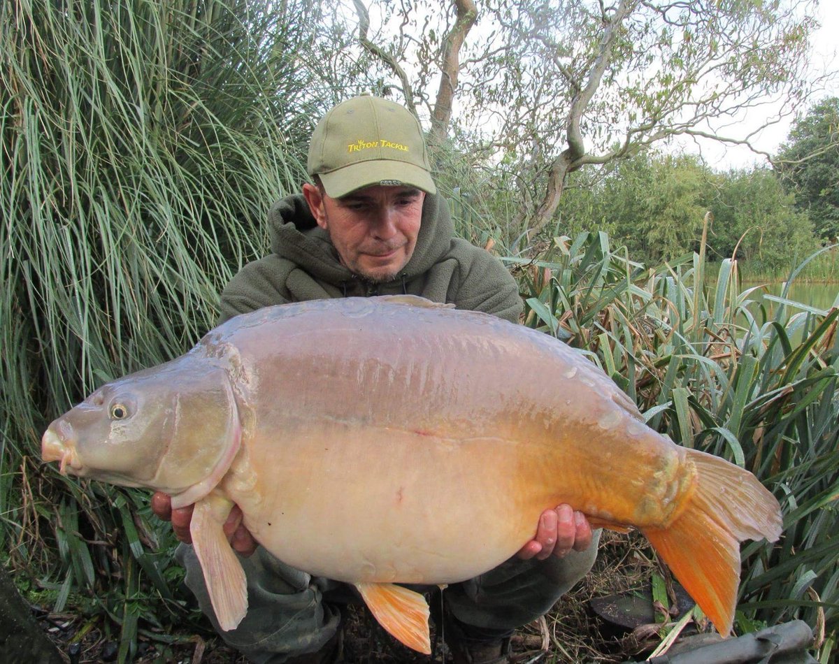 LeeThom79608424's tweet photo. 23.12lb #baitmonkeybaits #teamsharptackle #teamhardcore #mattpukkaparticles #teamtritontackle https://t.co/PvgVJsDaoO