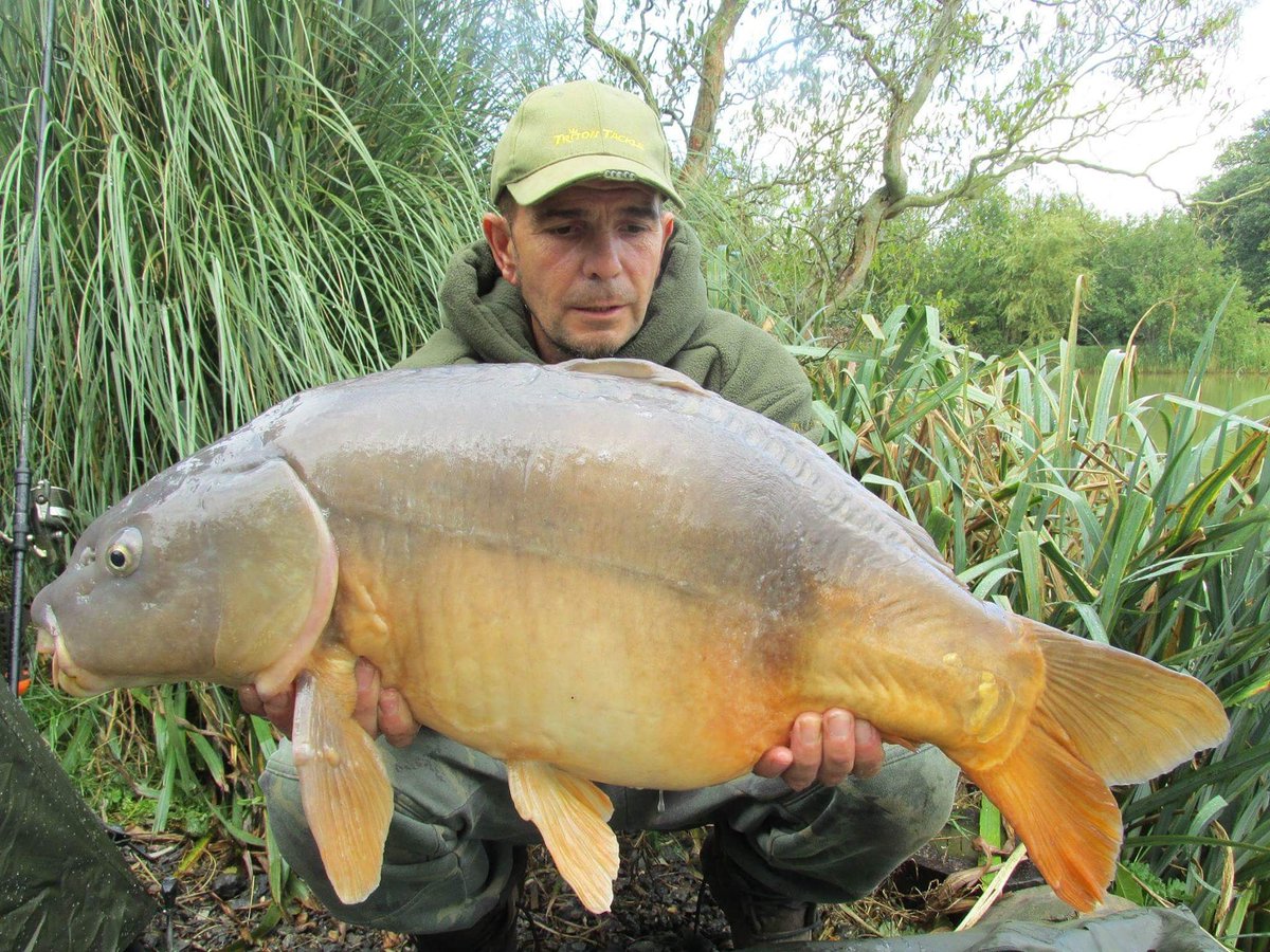 LeeThom79608424's tweet photo. 21lb #baitmonkeybaits #teamsharptackle #teamhardcore #mattpukkaparticles #teamtritontackle https://t.co/ekgfqnD0rf