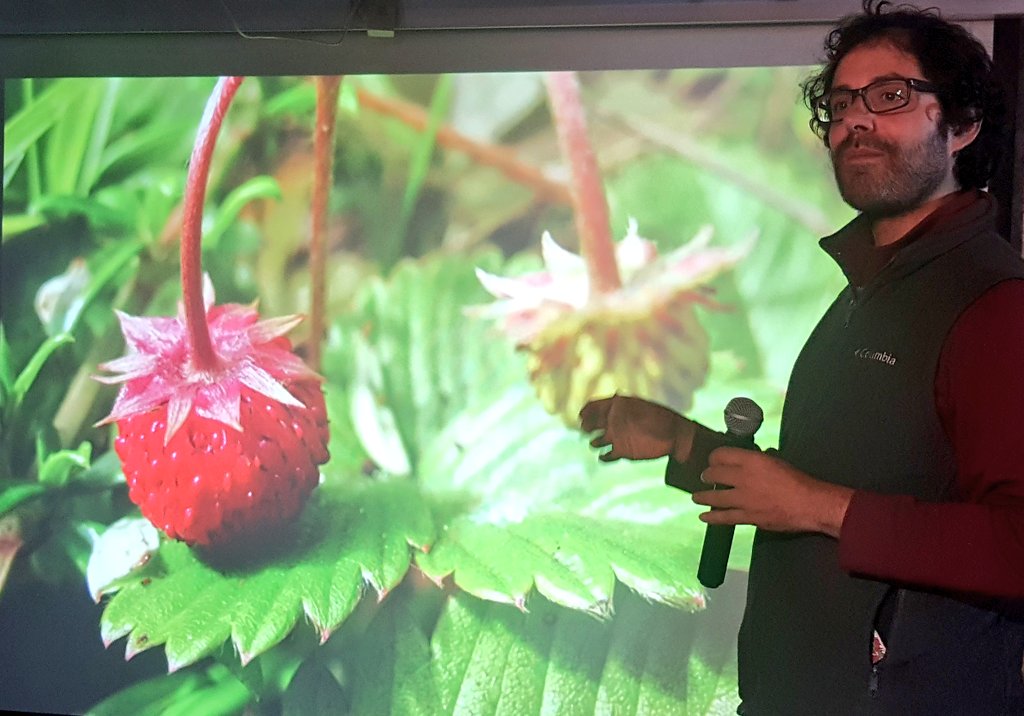inst_humboldt's tweet photo. ��Tú también puedes ser un naturalista urbano! Mateo Hernández comparte su historia para motivarnos a explorar la #ConexiónVital en la ciudad https://t.co/qHzGH8xnEy