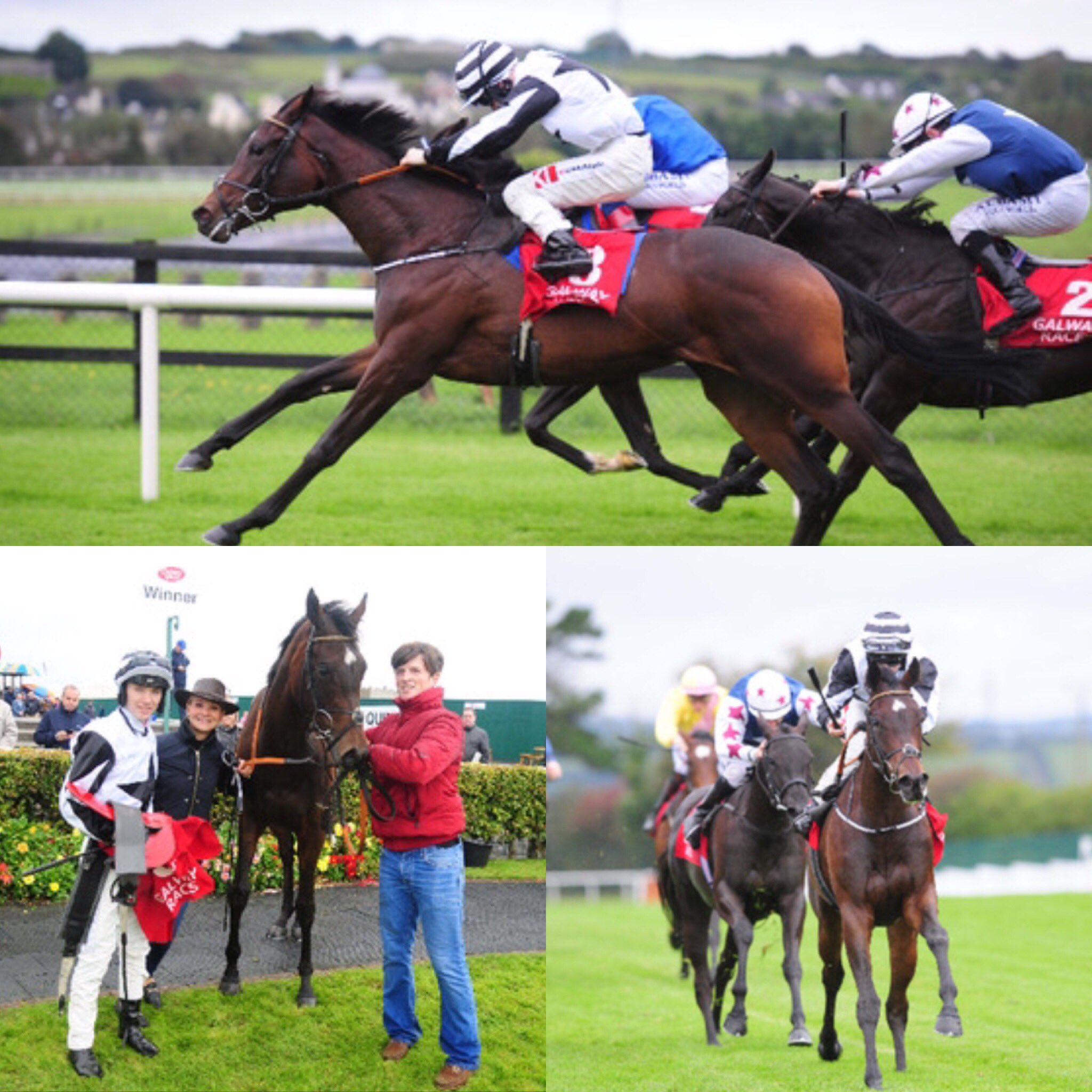 Madeleine Tylicki On Twitter 2yr Old Coeur D Amour Wins Her Maiden Impressively At Galway For The Fitzpatrick Family