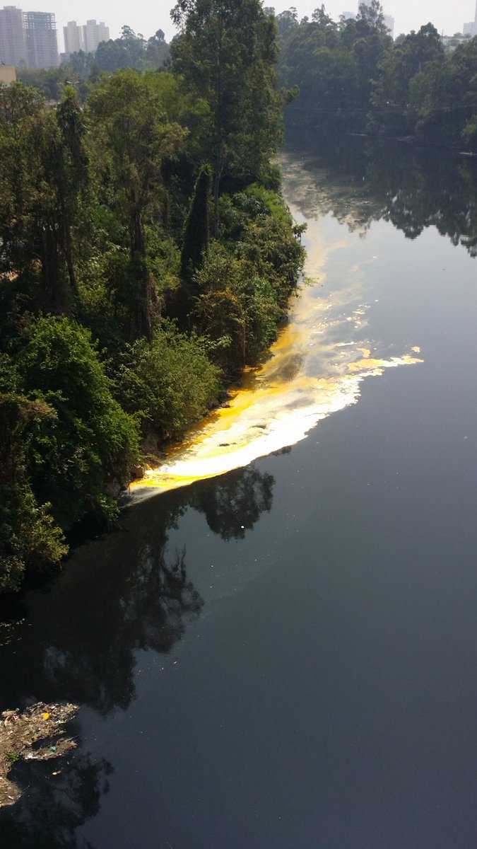 Rio tiete região de barueri..
#descaso