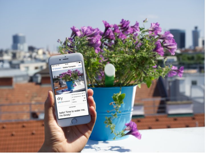 selections176's tweet image. For those who forget to water the plants: helloplant - a smart sensor able to gauge when to water - ow.ly/SoIb30ffyrn #helloplant