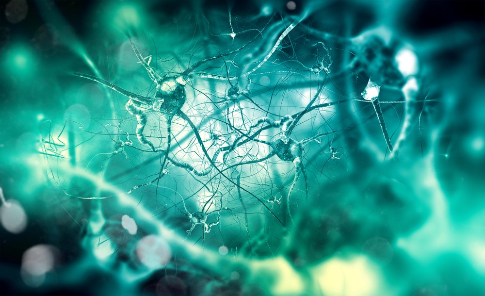 DeepLearn007's tweet photo. What a New Theory on Memory Formation Means for Machine Learning #AI #MachineLearning #ML #tech 
https://t.co/tEbAZFQwPV https://t.co/Vx5l72Ts1k