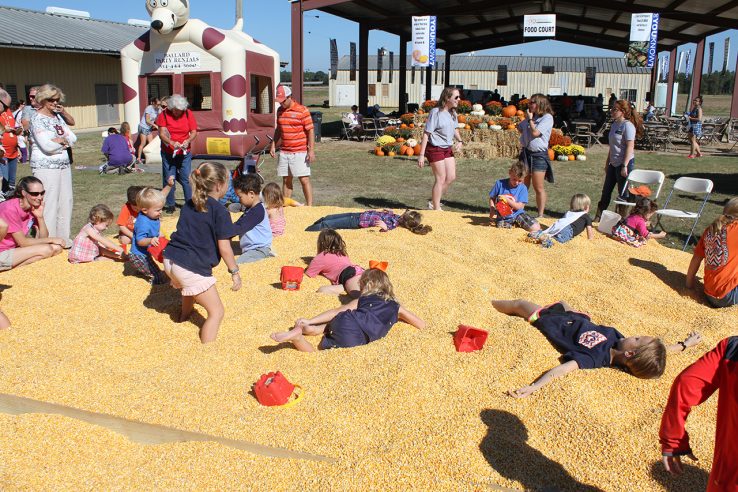 Still looking for a way to spend your day THIS Saturday? Look no further! #AuburnAg agriculture.auburn.edu/news/ag-discov…