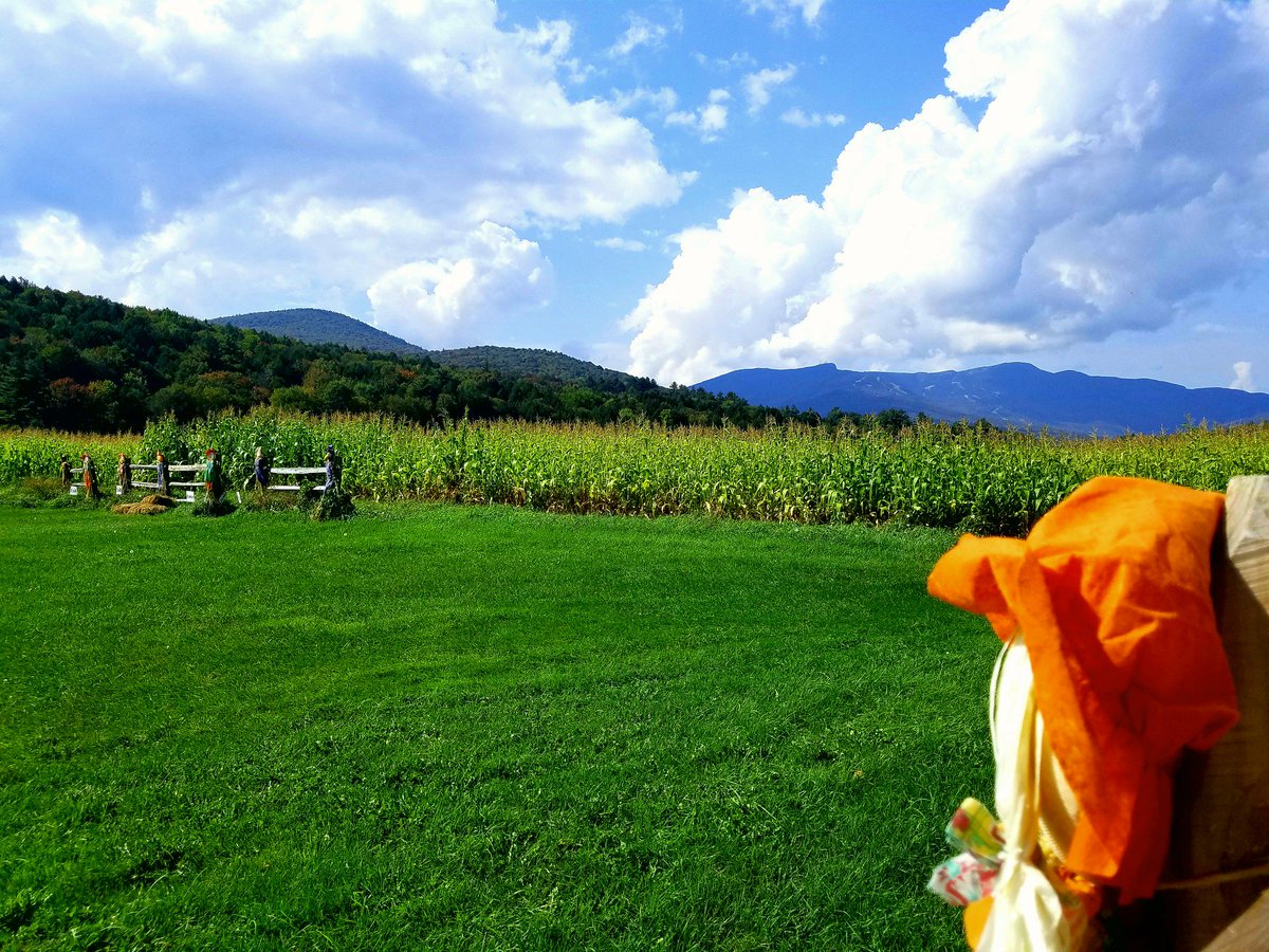 gostowe's tweet photo. It's easy to see why #PercyFarmCornMaze is one of our favorite stops on the #StoweRecPath! https://t.co/dgjYkpVNfu #gostowe #fallfoliage #vt https://t.co/zxyyNaFpdt