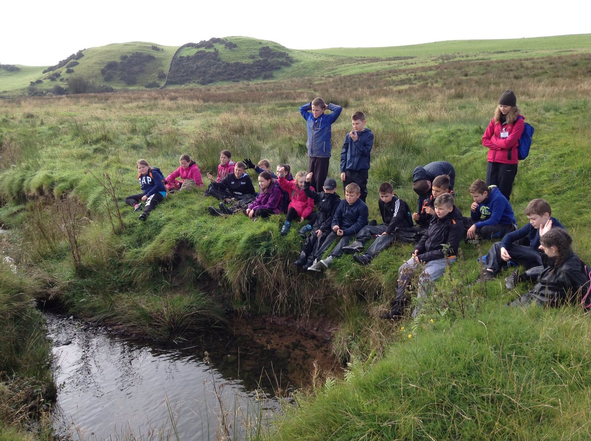 Head Teacher tweet media