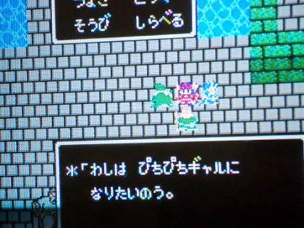今なら理解できる？ダーマ神殿でぴちぴちギャルになりたがっていたお爺さんの気持ちｗ