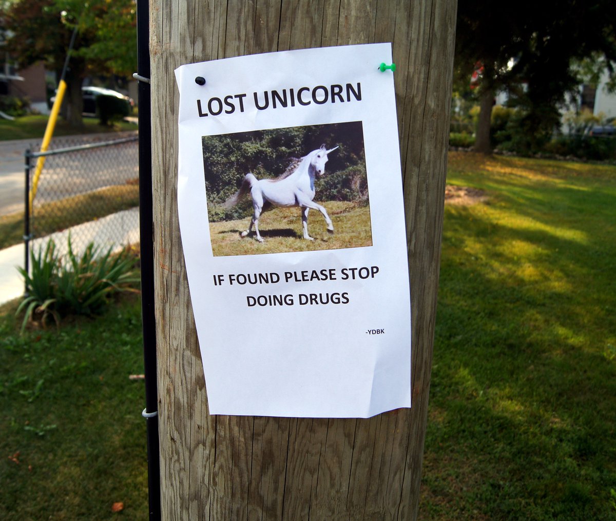 handsomey's tweet photo. A flyer posted in my neighbourhood. #flickr https://t.co/YdwUNuAlWc 🦄 #lostunicorn #Beamsville https://t.co/VC93kzAczl