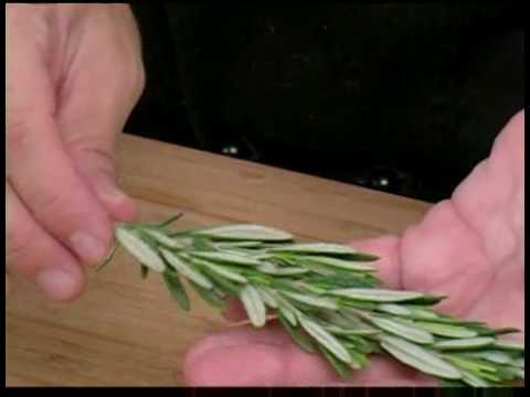 2018Health2018's tweet photo. Cooking Tips : How to Pick Rosemary https://t.co/45GA5qPv4S https://t.co/OObWttiIR9