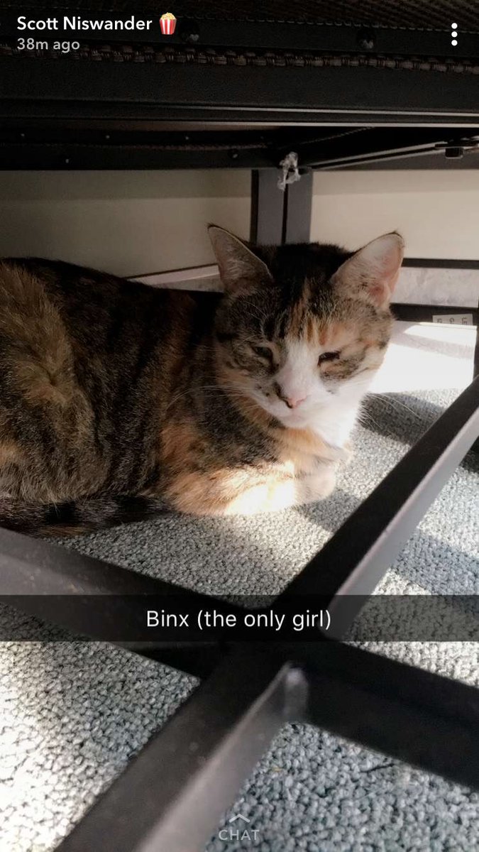 nerdsyncsparta's tweet image. And my only sister, Binx