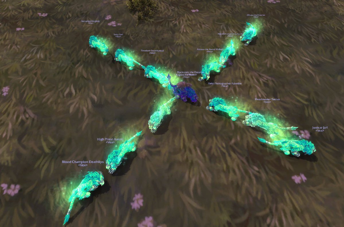 amurderofBos's tweet photo. AT LAST #VexGuild #Warcraft https://t.co/T2vD6ieu98