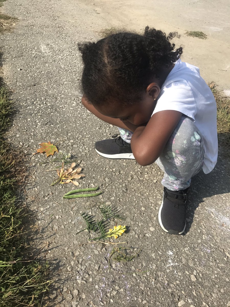 Ms_hagerman's tweet photo. Showing off her amazing collection of nature treasures "My favourite season is fall" - A.G. #naturalcuriosity #exploration #Kindergarten https://t.co/qPE9NY2YHJ