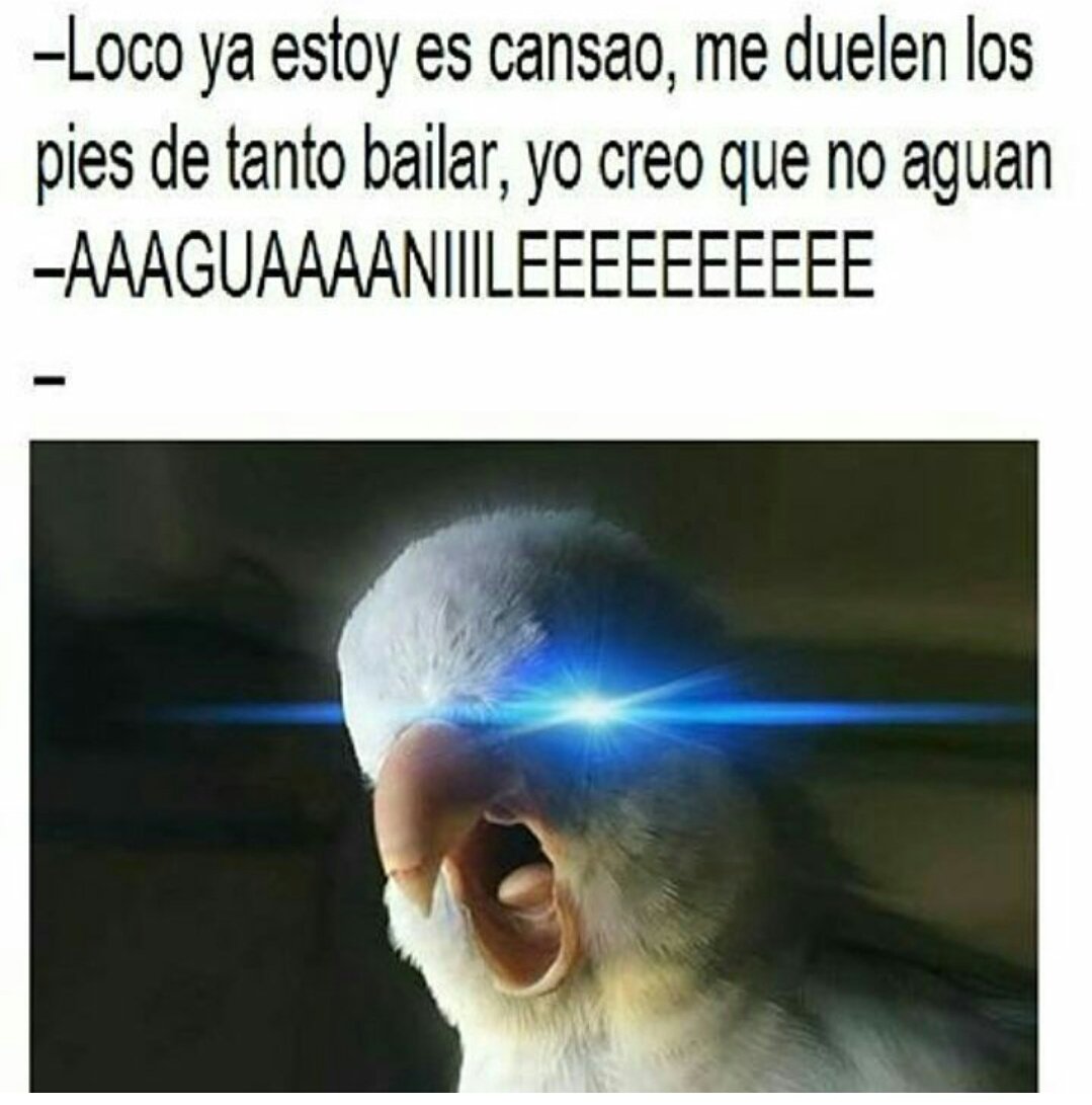 Sritaconyayita's tweet photo. Aguanile es aguanileeeee 💁 https://t.co/Irw0CabUnm