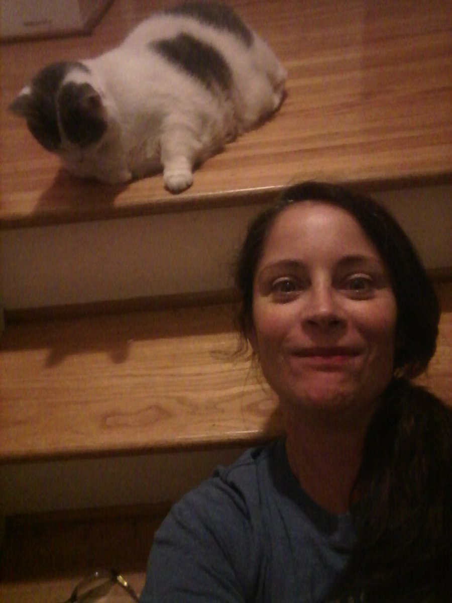 KosisMiss's tweet photo. How I take selfies with my car. #CatsOfTwitter #WhyImNotWelcomeAtChurch https://t.co/0PqUc4Ot8J