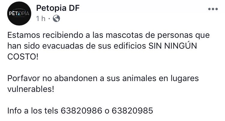 tisshhoo's tweet photo. ⚠️ INFO: Petopia DF está ayudando a las mascotas. 🐶🐱 #CDMX 

#Sismo #FuerzaMéxico #PrayForMéxico https://t.co/zRDkqZLVFB
