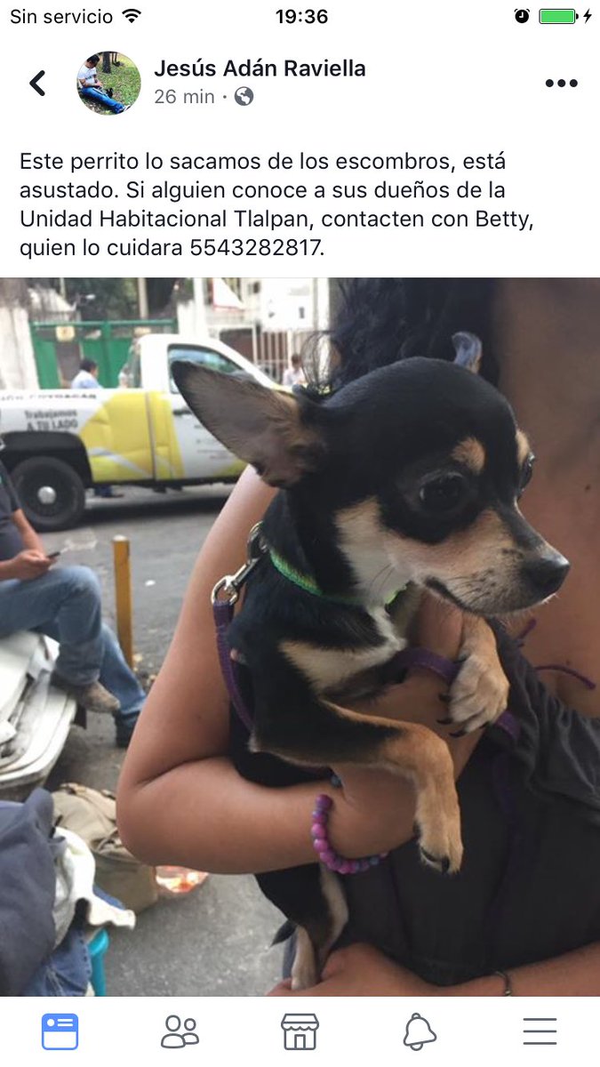 abogadiwis's tweet photo. Perrito rescatado de los escombros https://t.co/YtkObrNmlV