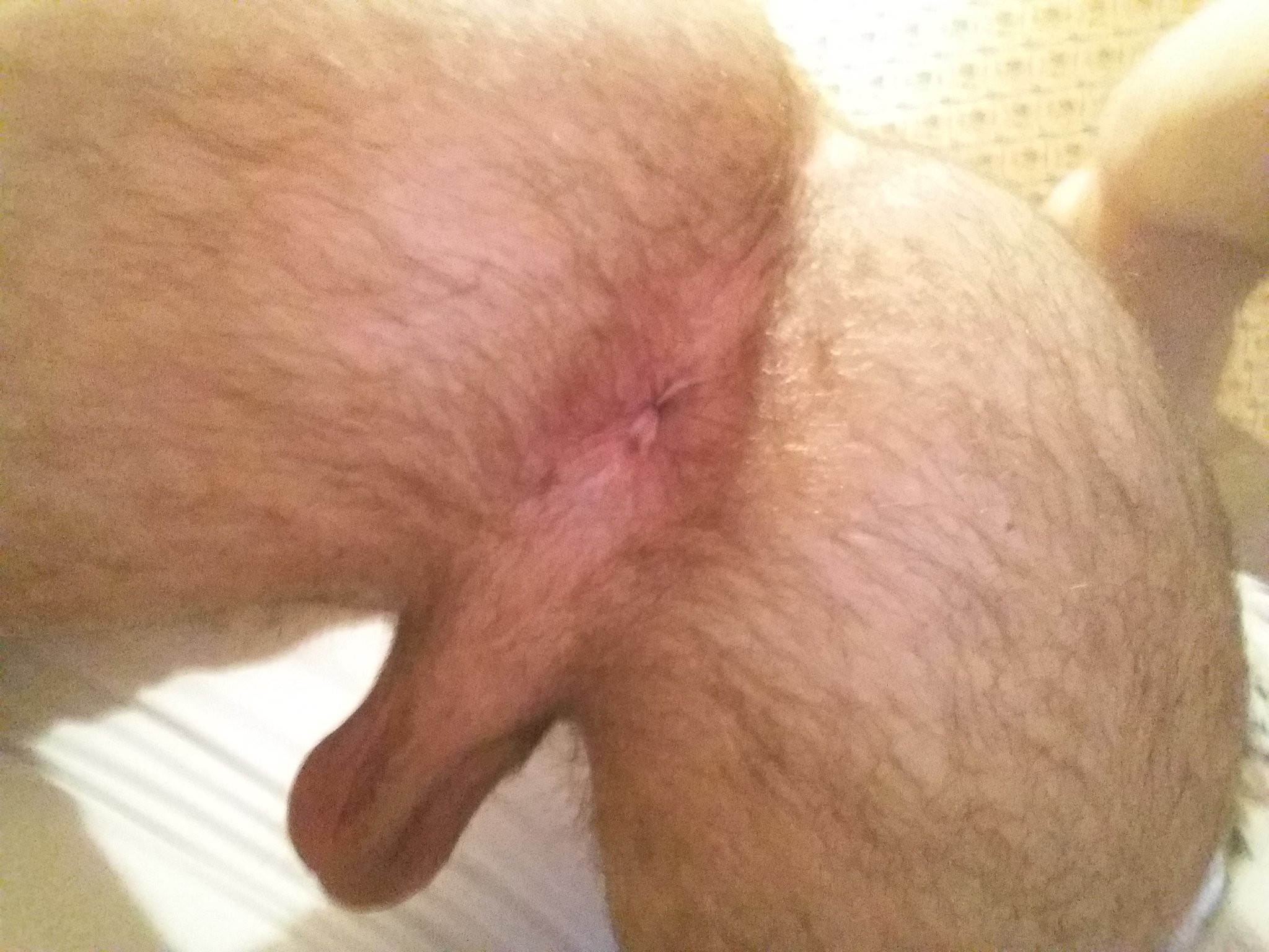 Who asked for it?) @BenBatemenXXX @QueerMeNow @LucasEnt #QueerMeNow #LucasEnt #lucasmen https://t.co