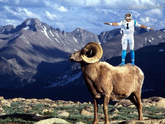 100 goats on twitter you ve heard of elf on the shelf now get