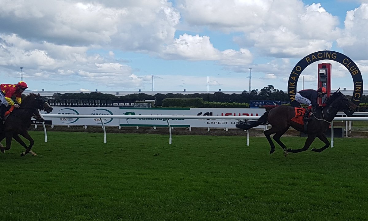 TeRapaRacing's tweet photo. Xbox @jwaddell86 wins Flagstaff Maiden 1100m for @RRacingStables https://t.co/AJiuhZFqE0