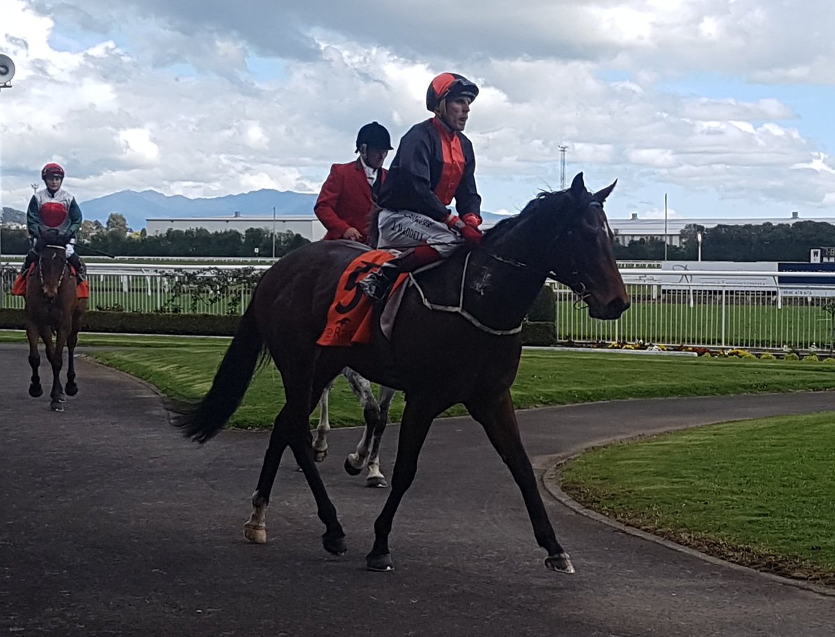 TeRapaRacing's tweet photo. Xbox @jwaddell86 wins Flagstaff Maiden 1100m for @RRacingStables https://t.co/AJiuhZFqE0